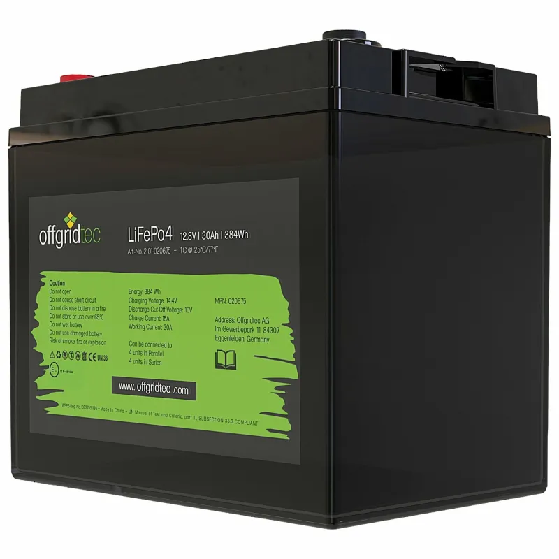 LiFePo4 Akku 12/30 12,8V 30Ah BMS integriert 384Wh