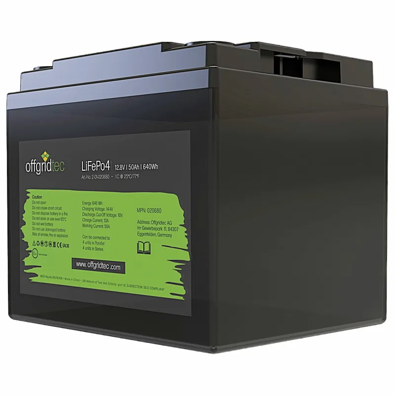 LiFePo4 Akku 12/50 12,8V 50Ah BMS integriert 640Wh