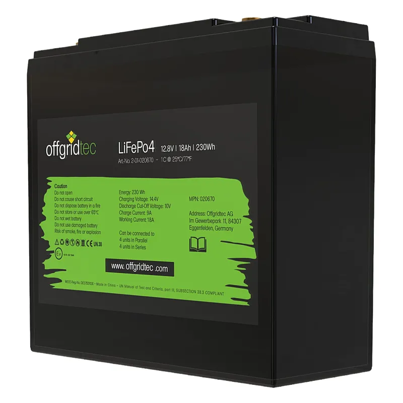 LiFePo4 Akku 12/18 12,8V 18Ah BMS integriert 230Wh