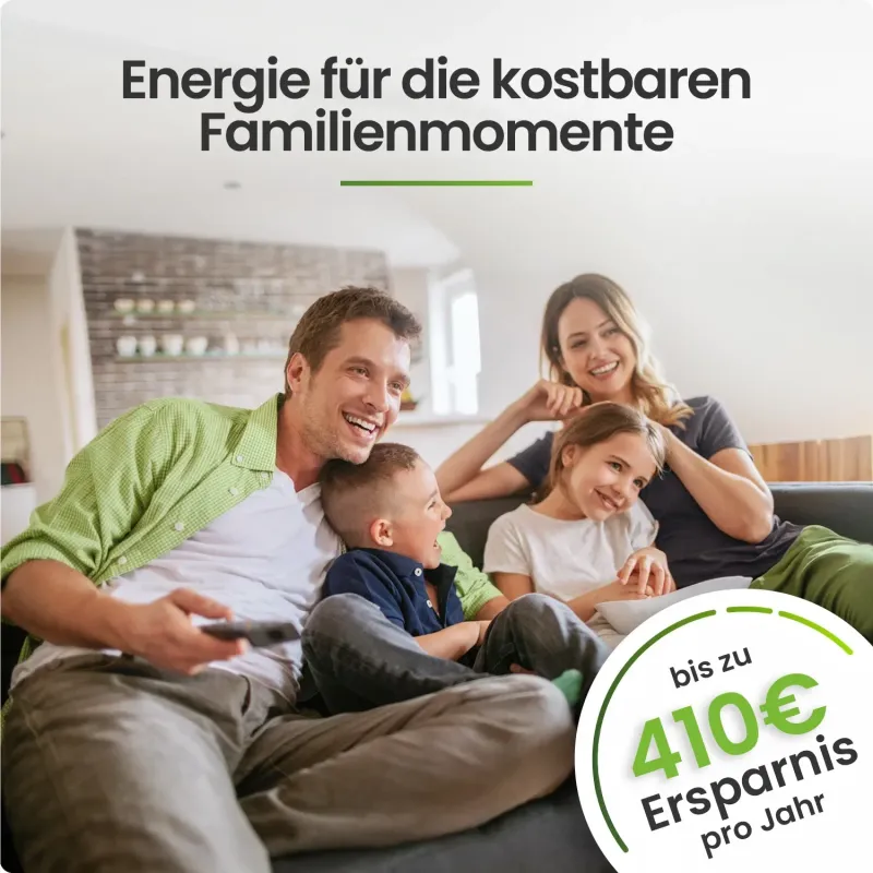 Solarmodule des 1000W Balkonkraftwerks Power für Balkon oder Garten.