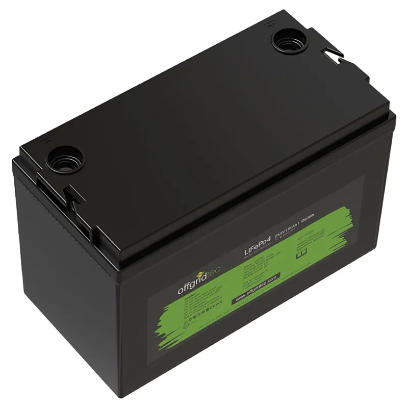 LiFePO4 Akku 25,6/50 24V 50Ah BMS integriert 1280Wh – Bild 3