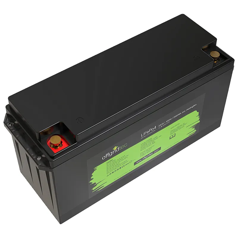 LifePO4 Akku 25,6/100 25,6V 100Ah mit BMS und Heizmatte 2560Wh – Bild 3