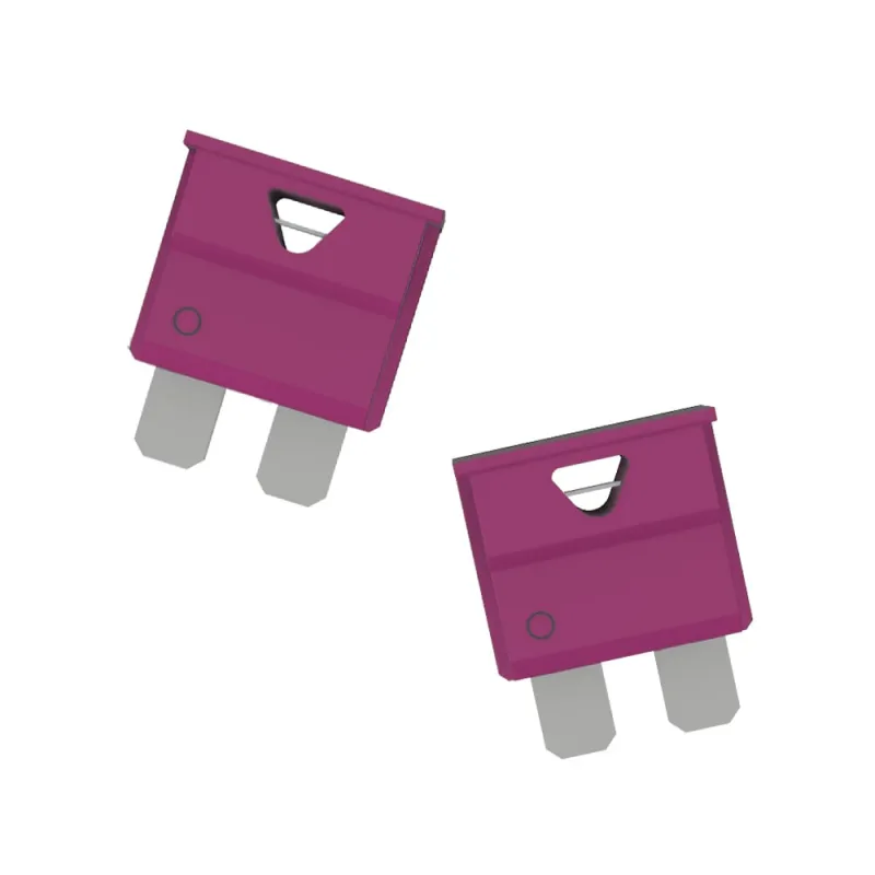 Flachsicherungshalter mit 10A Sicherung und Polklemmen für Batteriespeicher-Anschlüsse.