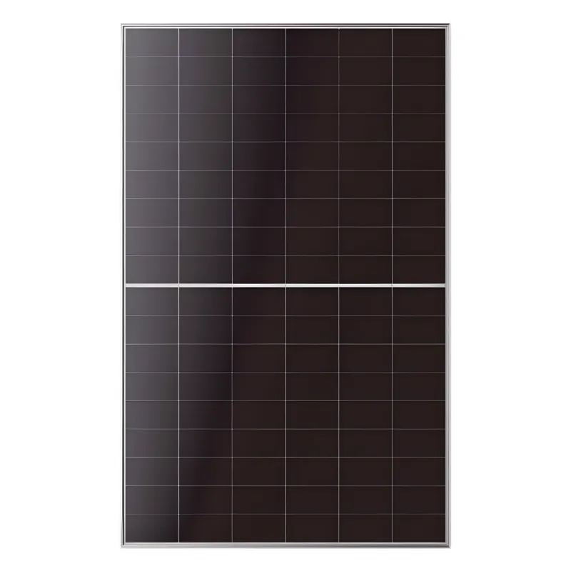 LONGi Hi-MOS10 EcoLife 505 Wp HBC Doppelglas Bifazial Solarmodul LR7-54HJD-505M