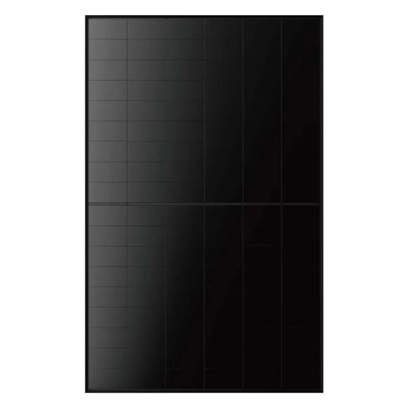 LONGi Hi-MOS10 EcoLife 495 Wp Glas/Glas Fullblack Solarmodul LR7-54HJBB