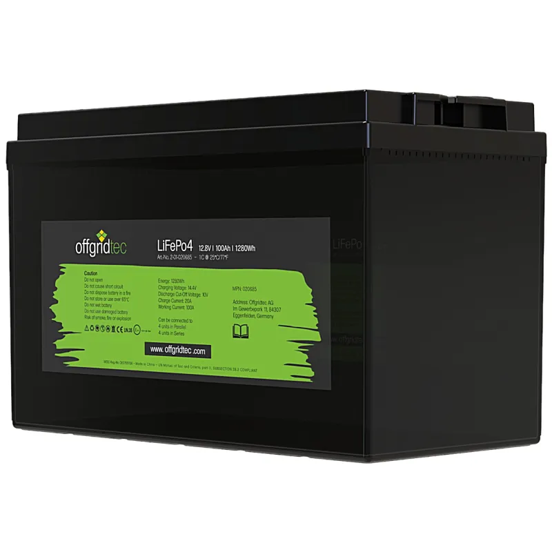 LiFePo4 Akku 12/100 12,8V 100Ah BMS integriert 1280Wh