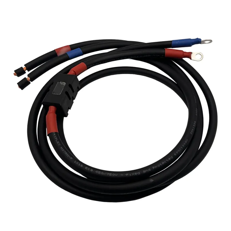 Batteriespeicher 013450-001 Kabel mit 1,5 Metern Länge und 10 mm² Querschnitt, frontal abgebildet.