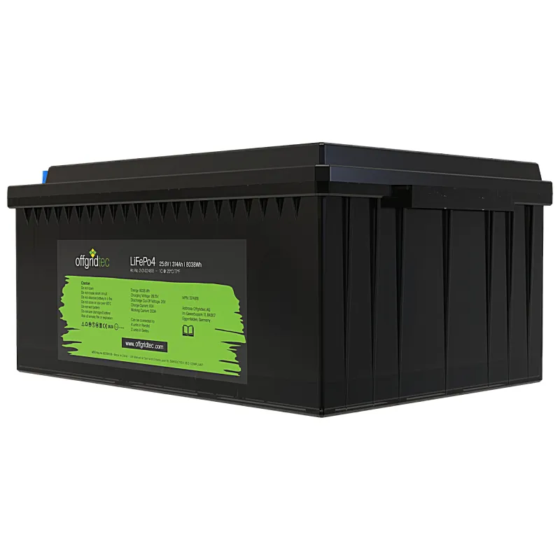 LifePo4 Akku 25,6/300 25,6V 314Ah BMS integriert 8038Wh