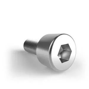 Schletter BOLT SH LS ISO4762 M8X20 A2-70 DL 943000-025